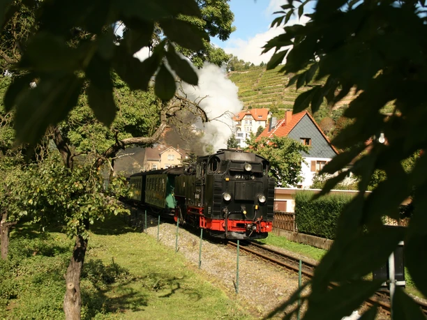 Lößnitzgrundbahn Lößnitzgrundbahn