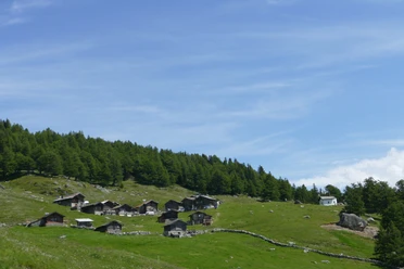 Salwald-Brischeru