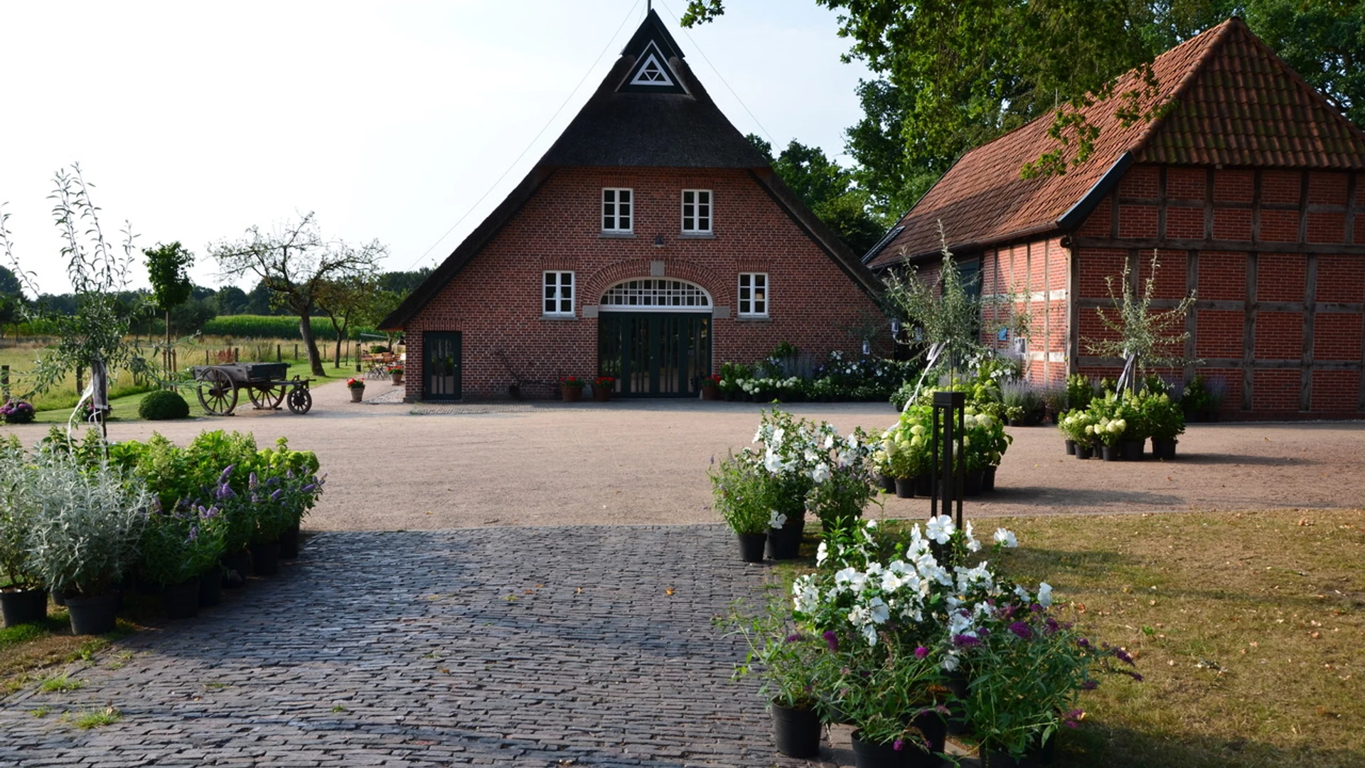 Außenansicht des Scholjegerdes Hofs mit reetgedecktem Backsteinhaus und Fachwerk-Nebengebäude.