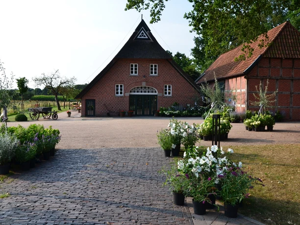 Aussenansicht-Scholjegerdes-Hof Außenansicht des Scholjegerdes Hofs mit reetgedecktem Backsteinhaus und Fachwerk-Nebengebäude.