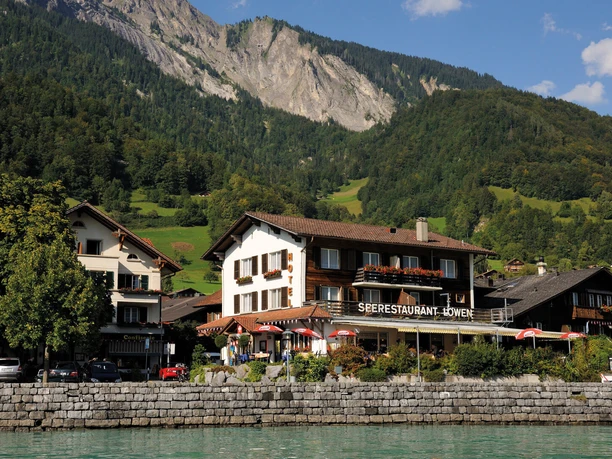 brienzerburli-loewen-aussenansicht