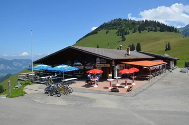 berghotel-wiriehorn-aussenansicht-sommer