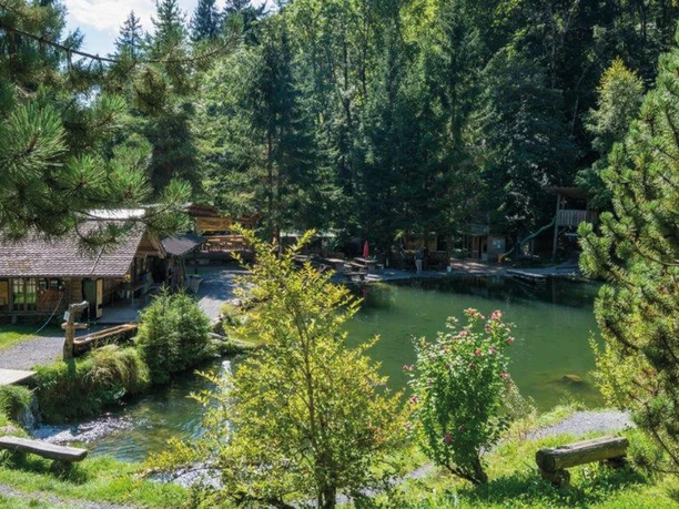 funky-fish-sigriswil-forellenteich