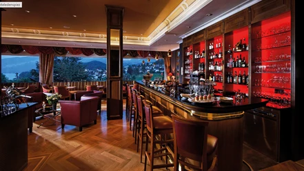hotel-eden-spiez-bistro-bar