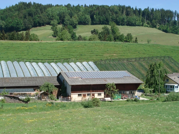 Willisauer Pausenhof