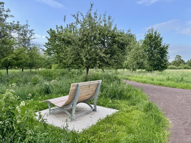 Landschaftsliege am Landschaftspfad Oll Wiek - Streuobstwiese Eine hölzerne Landschaftsliege auf einer Streuobstwiese neben einem Spazierweg unter blauem Himmel.