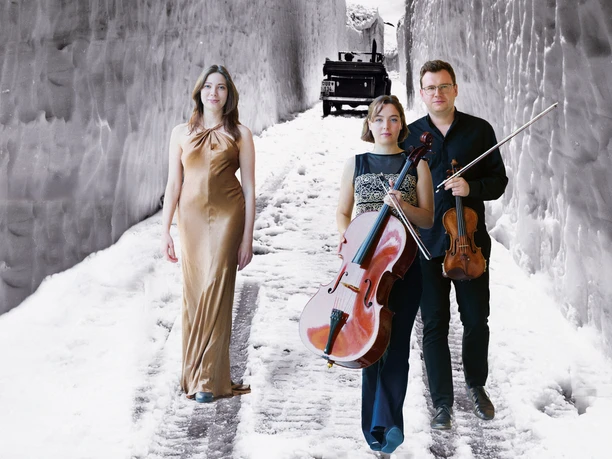 7 LUCERNE PIANO TRIO QUER