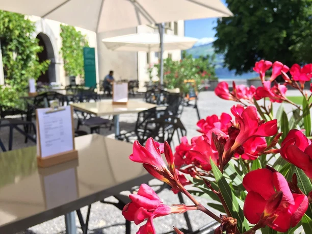 schloss-cafe-spiez-terrasse
