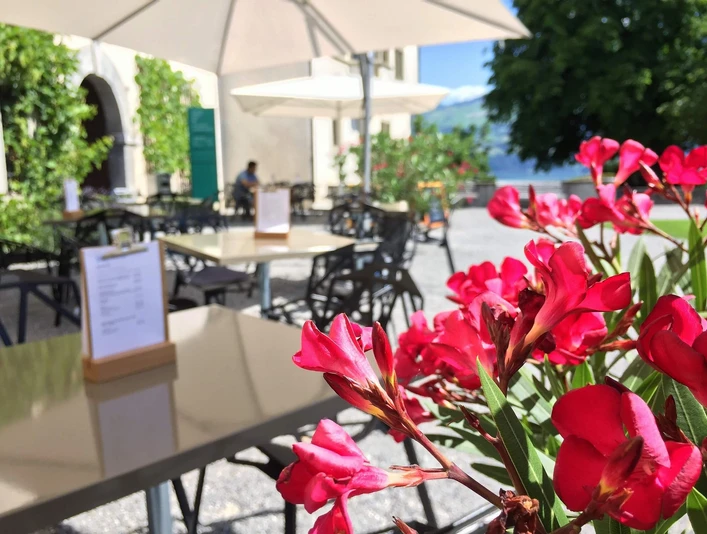 schloss-cafe-spiez-terrasse