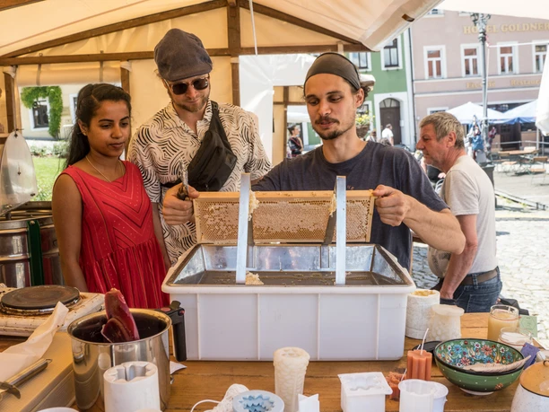 Dem Imker über die Schulter geschaut. Drei Personen an einem Stand, einer entnimmt Waben aus einem Behälter, während die anderen zuschauen.