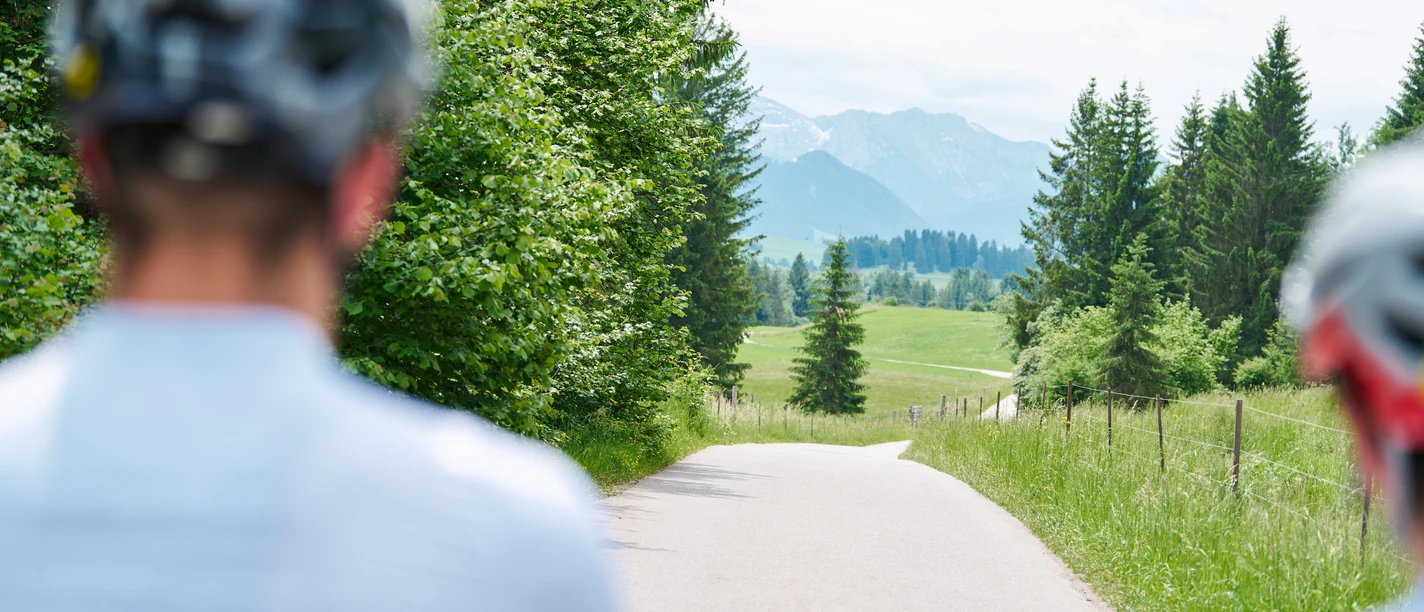 Bayerische Wallfahrt Zwei Radelnde vor einem Weg durch grünes Land und fernem Alpenpanorama