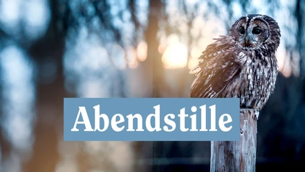 abendstille.jpg