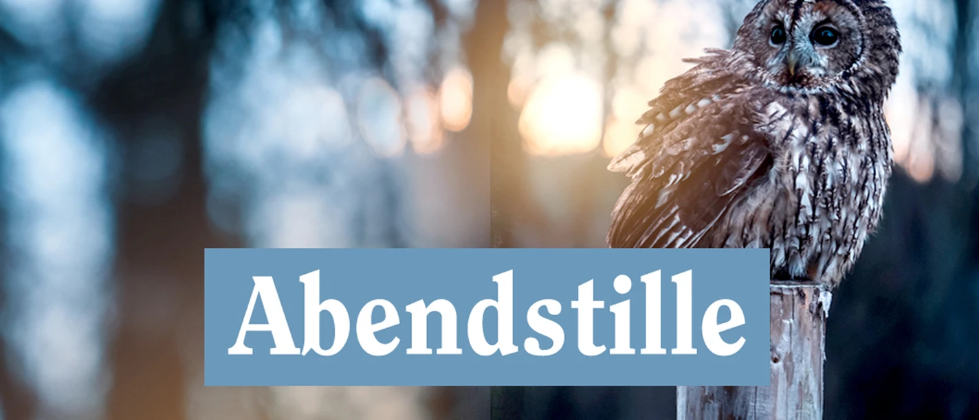 abendstille.jpg