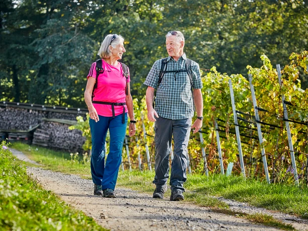 Hitzkirch Kaiserspan Weinbau Wandern Paar Brechbühl