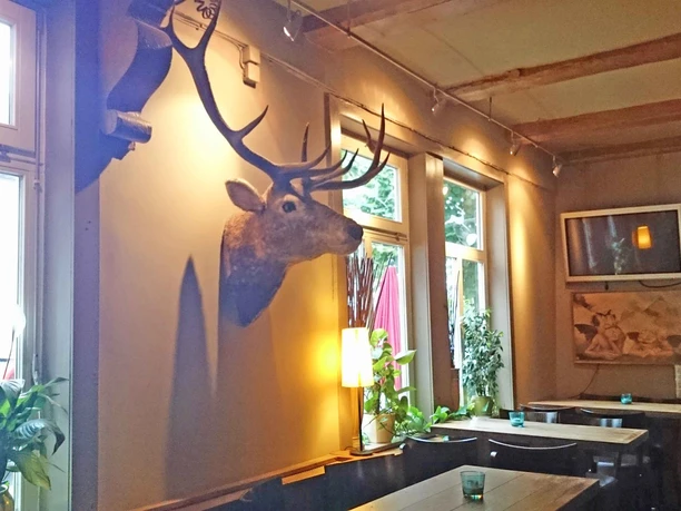 celle-restaurant-brauner-hirsch-2