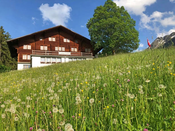 Exterior view of Gasthaus Gsaessweid Flower meadow, behind it is the Gsässweid inn