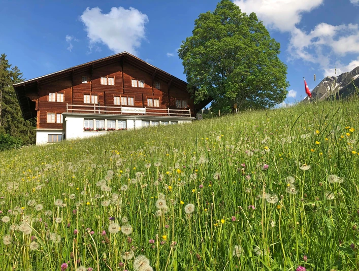 Vue extérieure de l'auberge Gsaessweid Blumenwiese, dahinter befindet sich das Gasthaus GsässweidFlower meadow, behind it is the Gsässweid innPrairie fleurie, derrière se trouve l'auberge Gsässweid