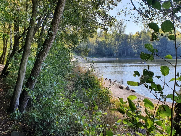 Schwan am Silbersee_Katrin Anders