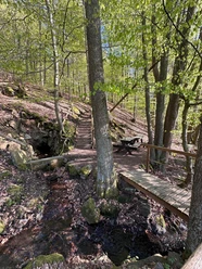 Zapfenborn Quelle