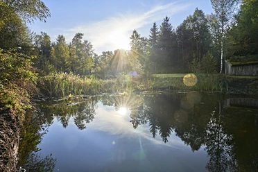 Moorstich Bad Kohlgrub (C) Gert Krautbauer.jpg