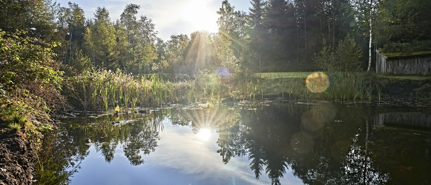 Moorstich Bad Kohlgrub (C) Gert Krautbauer.jpg