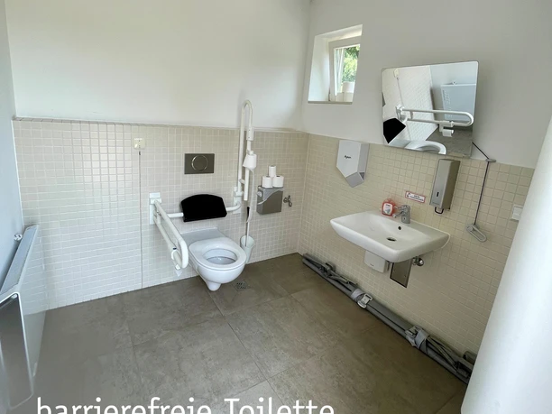 Disabled toilet with wheelchair-accessible washbasin and folding mirror