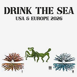 Schriftzug zu Drink The Sea 2026 über abstrakten farbigen Figuren