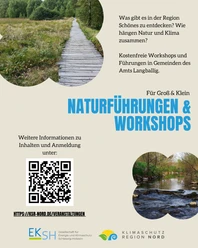 Seegraß