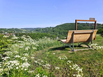 Waldsofa und Fotorahmen Holzliegebank und Rahmen über blühender Wiese mit weitem Blick auf bewaldete Hügel.