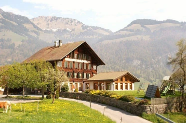 Restaurant Schönbühl in der Sonne Restaurant Schönbühl von aussen, die Frühlingsblumen blühen