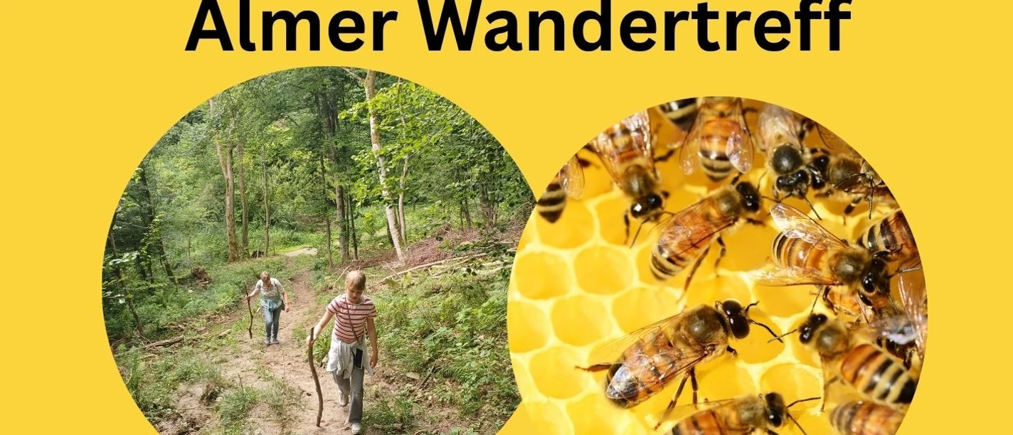 Bienenwanderung.jpg