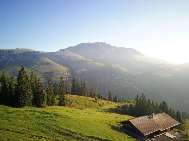 Sennhütte Menigwald vue du soleil couchant Vue sur les crêtes herbeuses, le soleil éblouissant