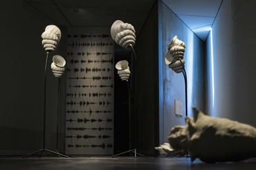 Ausstellung Michaela Melián. Osnabrücker Gesänge: Rosi Ève Hélène Ausstellung Michaela Melián. Osnabrücker Gesänge: Rosi Ève Hélène