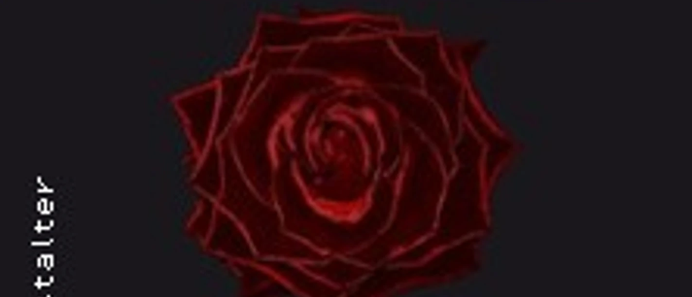 Rote Rose vor dunklem Hintergrund, leuchtend in der Mitte platziert.