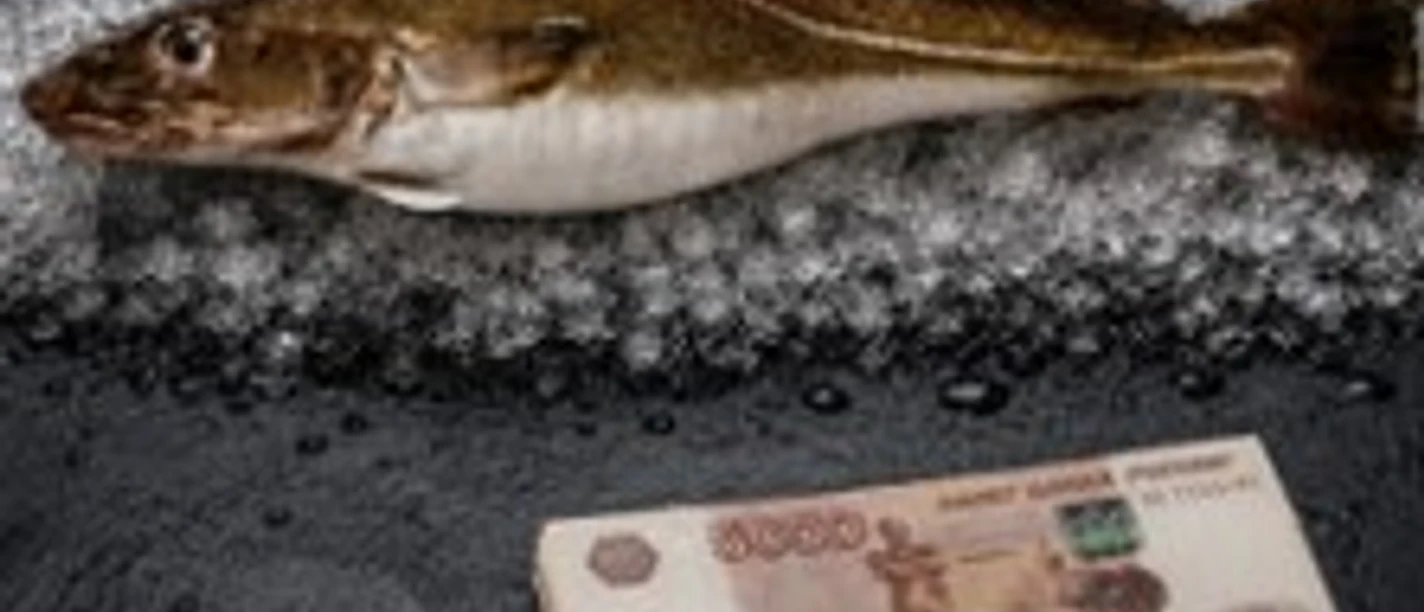 Ein roher Fisch auf Eis neben einem Bündel Geldscheine auf dunkler Fläche