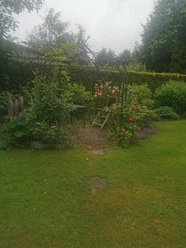 Sitzecke Privatgarten Hienen_Foto Hienen.jpg Eine gepflasterte Sitzecke unter einem Rosenbogen mit Stuhl und Tisch in einem üppigen, grünen Garten.