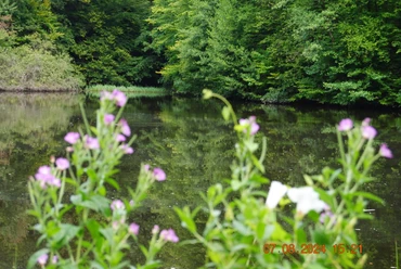 Eckteich (1).JPG