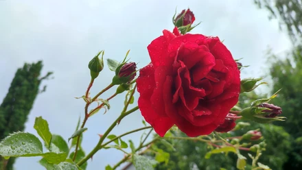 178000076012.jpg