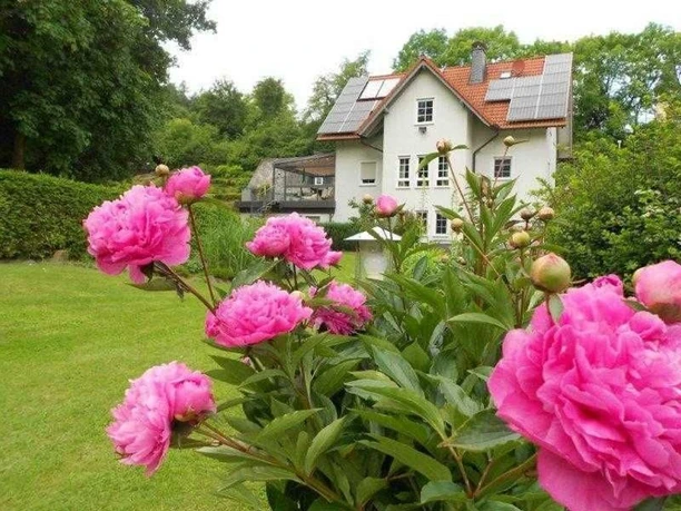 Ferienwohnung Hankel