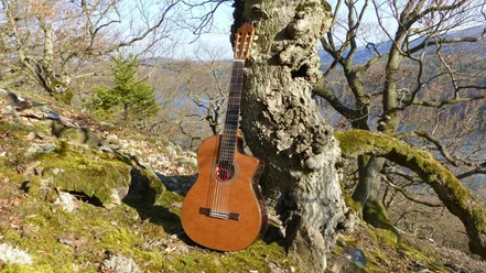 Gitarrenfestival_StaatsbadBadWildungen.png