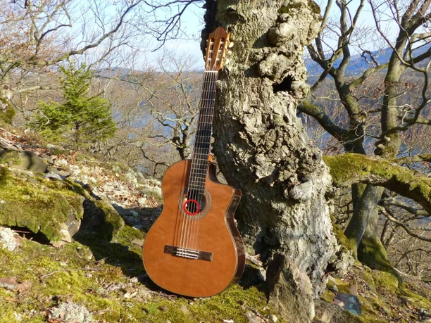 Gitarrenfestival_StaatsbadBadWildungen.png