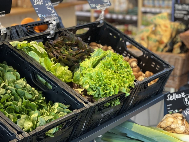 ARIES Bioladen frische Obst- und Gemüseauswahl ARIES Bioladen frische Obst- und Gemüseauswahl