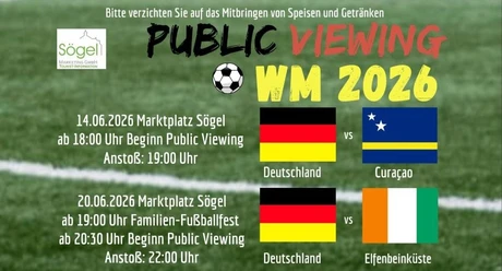 Public Viewing LED 00 new.jpg