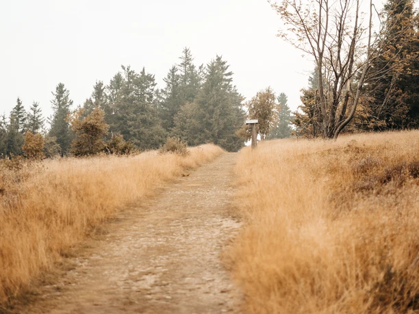 Wanderweg Hochheide