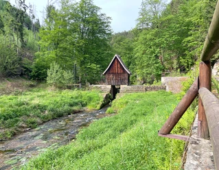 Das Stauwerk der Niederen Schleuse im Kirnitzschtal