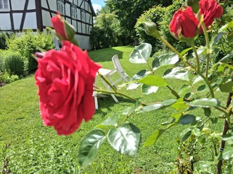 Pfarrgarten Holzburg