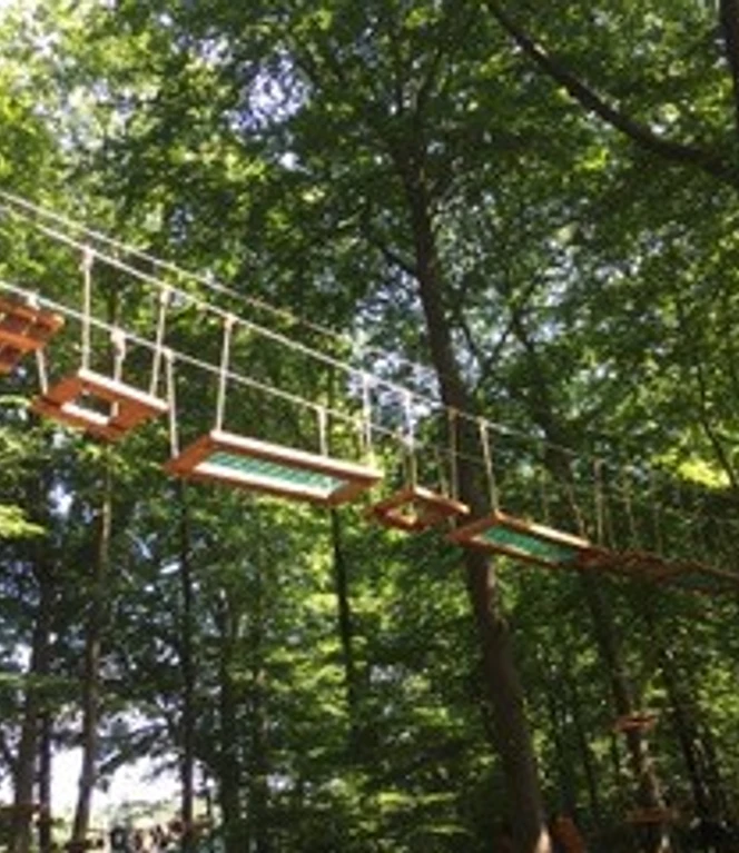 Kletterwald Sögel - Parcours im Grünen ©AbenteuerZeit GmbH & Co. KG.jpg