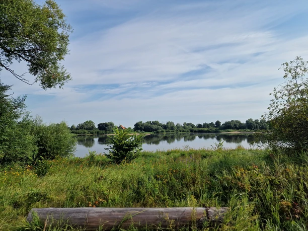 Walmsburger Werder.jpg