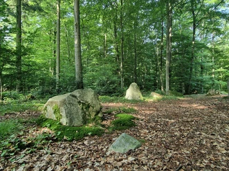Steingräber im Schieringer Forst.jpg