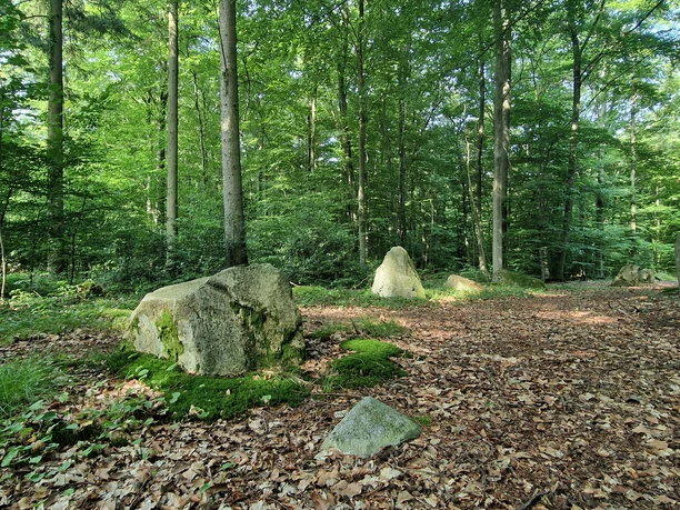 Steingräber im Schieringer Forst.jpg